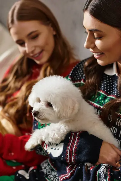 Two friends in cozy sweaters enjoy a joyful Christmas celebration with their cute Bichon Frise dog. — Stock Photo