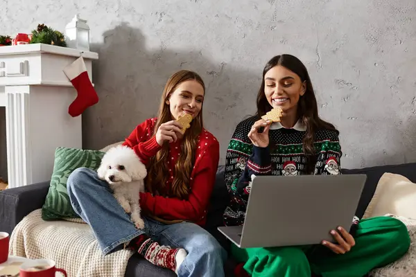 Girlfriends in festive sweaters enjoy treats and each others company with their adorable dog at home. — Stock Photo