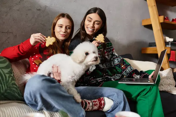 Girlfriends enjoy a joyful Christmas celebration with a playful Bichon Frise in their warm living room. — Stock Photo