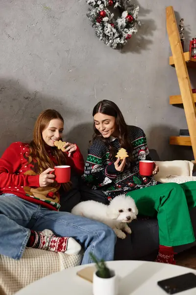 Two girlfriends celebrate the holiday season with snacks and a lovable dog in a warm, cheerful living room. — Stock Photo