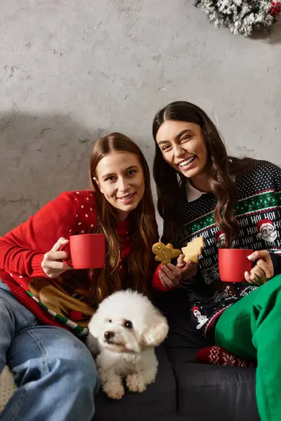 Two girlfriends in festive sweaters enjoy cocoa with their adorable Bichon Frise during the holidays. — Stock Photo