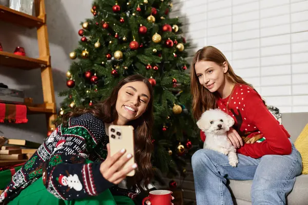 Two girlfriends in festive sweaters enjoy a cozy holiday moment with their Bichon frise by the Christmas tree. — Stock Photo