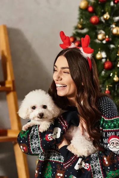 A young woman in a festive sweater enjoys Christmas cheer with her adorable Bichon Frise at home. — Stock Photo