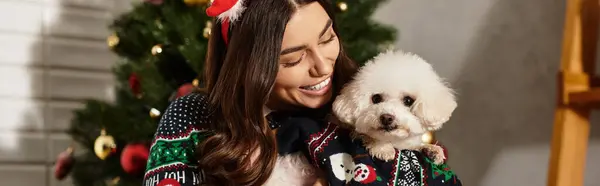 A young woman in a cozy sweater happily embraces her cute Bichon Frise, celebrating Christmas cheer at home. — Stock Photo