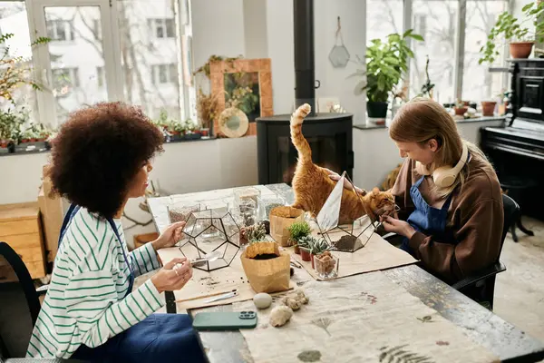 Two friends enjoy crafting plant terrariums while a playful cat adds joy to their creative space. — Stock Photo