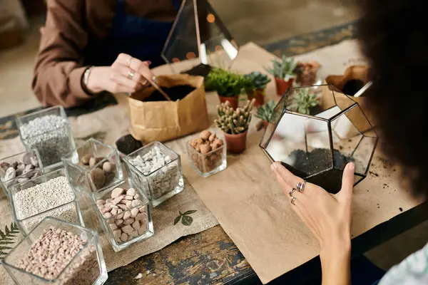 Participants engage in a hands on workshop crafting unique terrariums using vibrant succulents. — Stock Photo