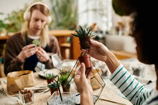 Hands carefully potting a succulent while friends share tips and laughter at a lively workshop. — Stock Photo