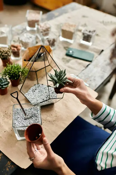 Participant enjoy a lively workshop making colorful succulent arrangements with friends. — Stock Photo