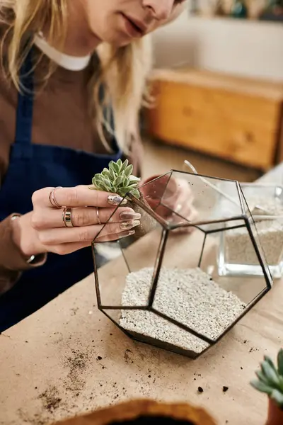 Teilnehmer basteln mit Freude einzigartige Terrarien voller schöner Sukkulenten und Pflanzen. — Stockfoto