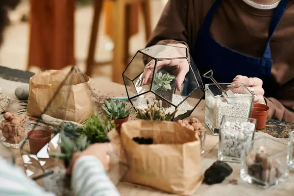 Participants enthusiastically create unique succulent arrangements together in a joyful atmosphere. — Stockfoto