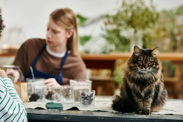 Dans un atelier lumineux, les participants élaborent des arrangements succulents uniques tout en appréciant l'amitié. — Photo de stock