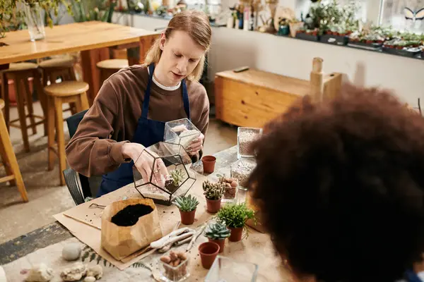 Participants create lovely succulent arrangements while bonding over creativity. — Stock Photo