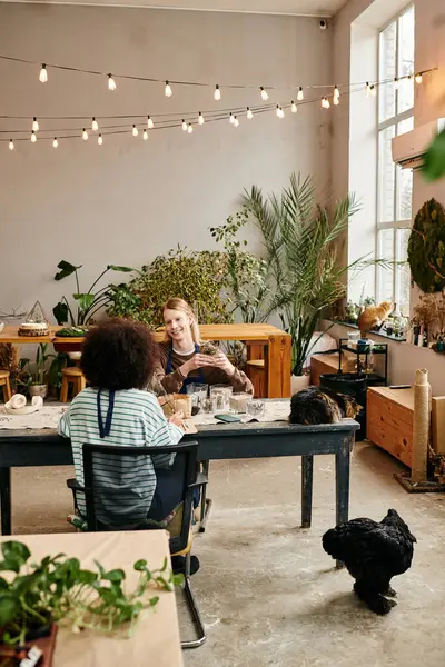 Friends engage in a joyful plant workshop surrounded by vibrant succulents and greenery. — Stock Photo