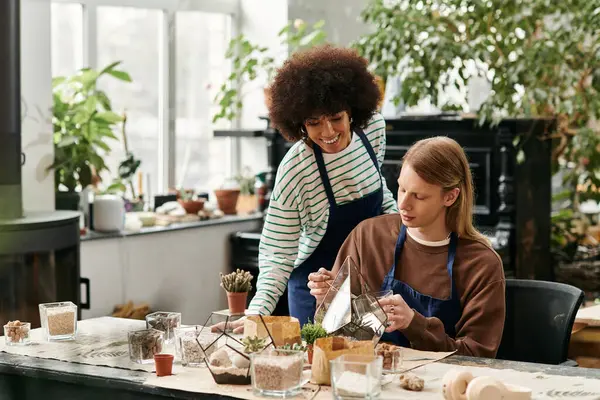 Two friends joyfully work together to design terrariums full of diverse succulents and plants. — Stock Photo