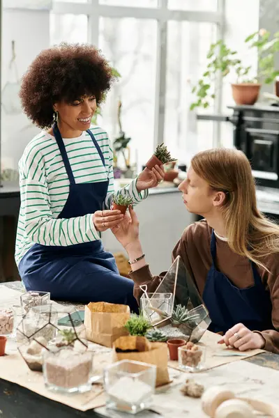 Les participants partagent joyeusement des conseils tout en élaborant des arrangements succulents uniques dans un atelier animé. — Photo de stock