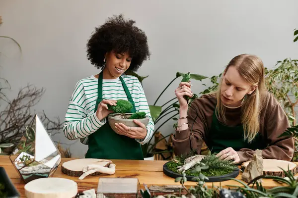 Deux amis aiment créer des arrangements succulents dans un atelier joyeux rempli de verdure. — Photo de stock