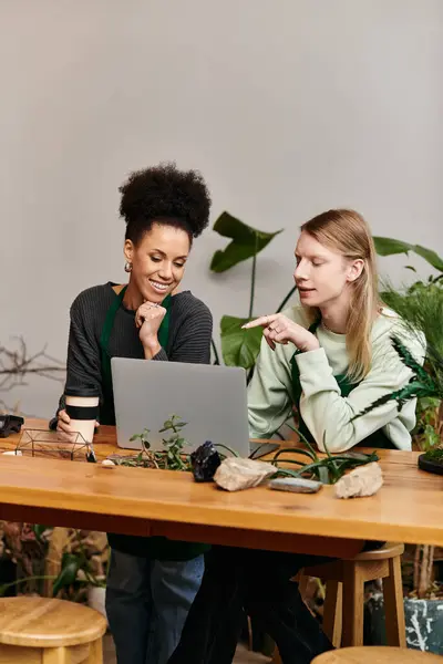 Two friends joyfully share succulent care tips while enjoying their vibrant plants on a laptop. — Stock Photo