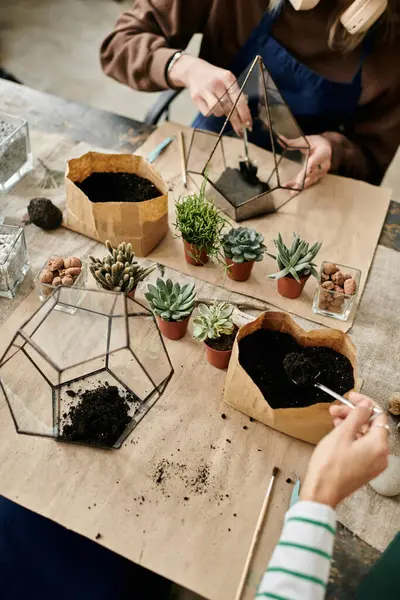 Participants are engaged in crafting unique terrariums with vibrant plants in a joyful setting. — Stock Photo