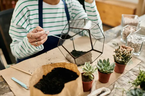 Hände erforschen Erde und Pflanzen beim Basteln von Mini-Sukkulenten in lebendiger Werkstatt-Atmosphäre. — Stockfoto