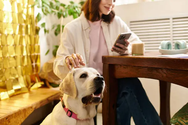 A pretty young woman relaxes in a pet friendly cafe, playing with her labrador and using her phone. — Stock Photo