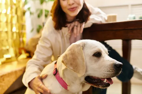 A young woman shares a joyful afternoon with her labrador at a lively cafe filled with warmth. — Stock Photo