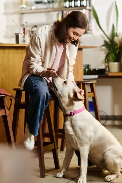 A woman shares affectionate moments with her labrador in a stylish, welcoming cafe atmosphere. — Stock Photo
