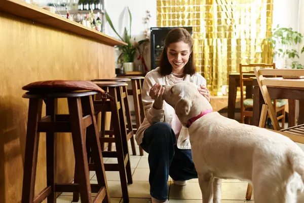 Una joven disfruta del tiempo con su labrador en un acogedor y moderno entorno de cafetería para mascotas.. — Stock Photo