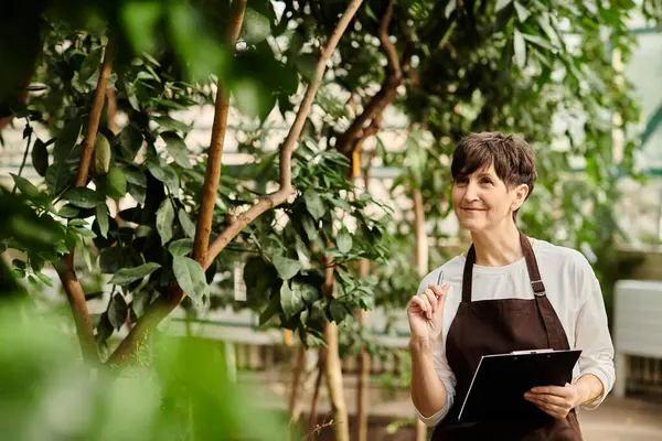 Mujer madura con el pelo corto se involucra activamente con las plantas en un ambiente exuberante invernadero. - foto de stock