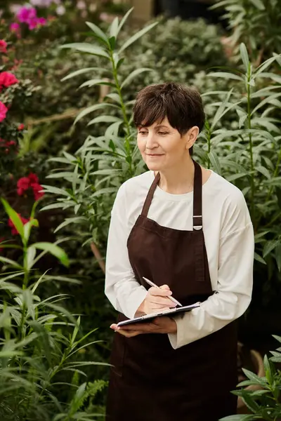 Mature woman in an apron works diligently in a lush greenhouse, surrounded by flourishing plants. — Stock Photo