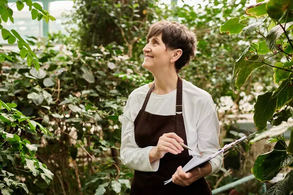 Mature woman in an apron smiles proudly while taking notes among thriving plants in a greenhouse. — Stock Photo