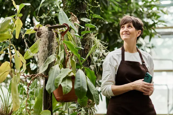 Mature woman admires the lush greenery while working diligently in a flourishing greenhouse. — Stock Photo
