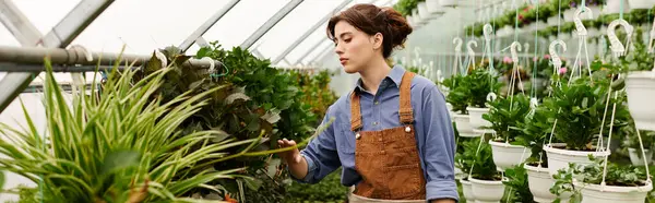 Dentro de uma estufa vibrante, uma jovem dedicada cuida de suas plantas florescentes, banner — Fotografia de Stock