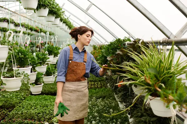 In a vibrant greenhouse, a young woman cultivates lush plants with care, radiating joy. — Stock Photo