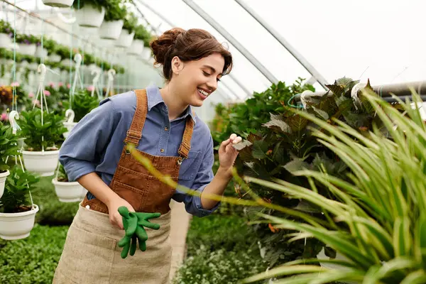 Young woman enjoys nurturing lush greenery in a warm, inviting greenhouse filled with plants. — Stock Photo