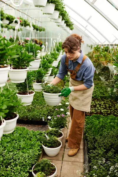 A young woman lovingly arranges potted plants while nurturing them in a sunny greenhouse. — Stock Photo