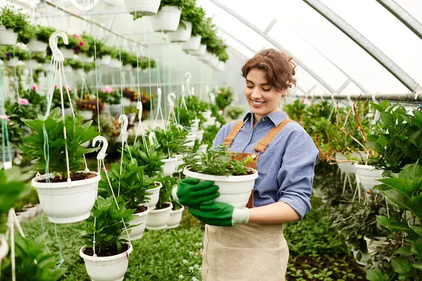 In a bright greenhouse, a young woman happily tends to her plants, showing her skills. — Stock Photo