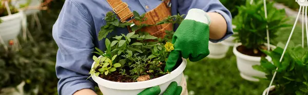 Blissful gardener holds a pot of fresh herbs while enjoying nurturing plants in a greenhouse, banner — Stock Photo