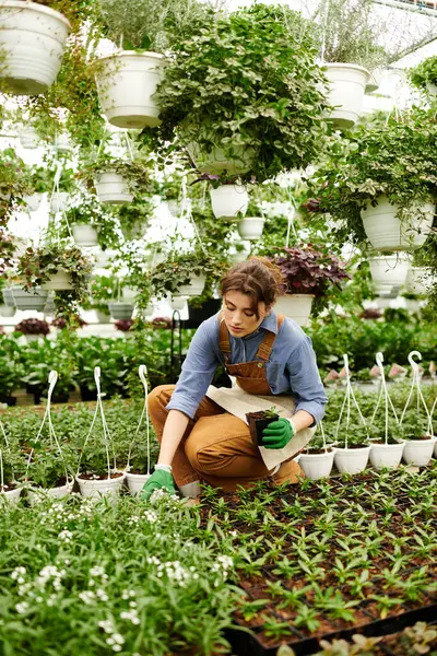 Em uma estufa serena, uma jovem mulher cuidadosamente tende a plantas vibrantes, mostrando suas habilidades. — Fotografia de Stock