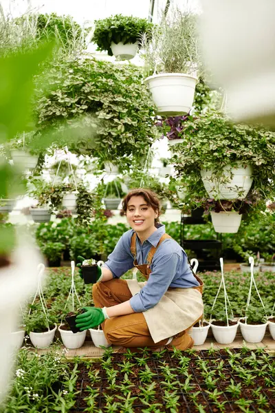 A young woman tends to her thriving plants in a greenhouse, showcasing her love for gardening. — Stock Photo