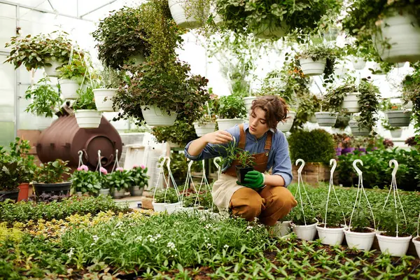 A young woman tends to her plants in a lush greenhouse filled with greenery and hanging pots. — Stock Photo