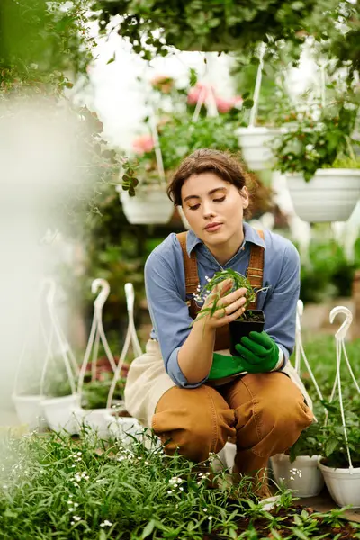 In a serene greenhouse, a young woman kneels, joyfully caring for her thriving plants. — Stock Photo