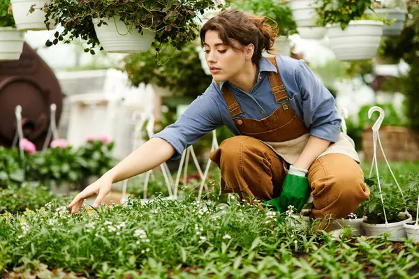 Une jeune femme s'agenouille dans une serre, tendant à des plantes florissantes avec soin et joie. — Photo de stock