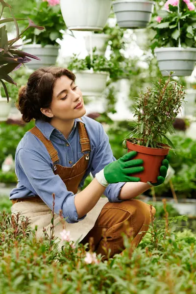 A young woman lovingly holds a potted plant in a bright greenhouse, showing her dedication. — Stock Photo