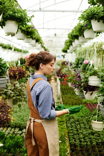Young woman nurtures thriving plants, showing her passion for gardening in a greenhouse. — Stock Photo