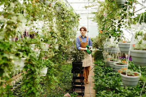 Mujer joven que atiende a sus plantas en un brillante invernadero lleno de vegetación. - foto de stock