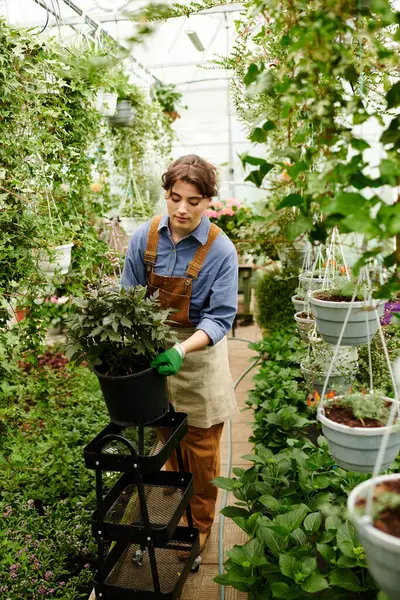Dans une serre luxuriante, une jeune femme nourrit ses plantes avec joie et dévouement. — Photo de stock