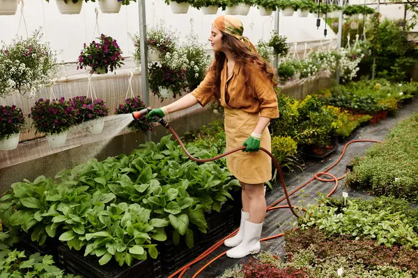 Um jardineiro alegre tende suas plantas prósperas na estufa, vestida com um avental e lenço de cabeça. — Fotografia de Stock