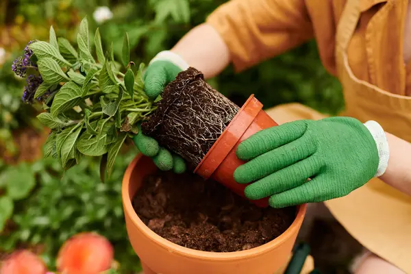 A gardener in gloves cares for plants in a cozy greenhouse, showing love for gardening. — Stock Photo