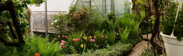 Vibrant plants flourish under glass in a tranquil greenhouse, showcasing nature beauty, banner — Stock Photo