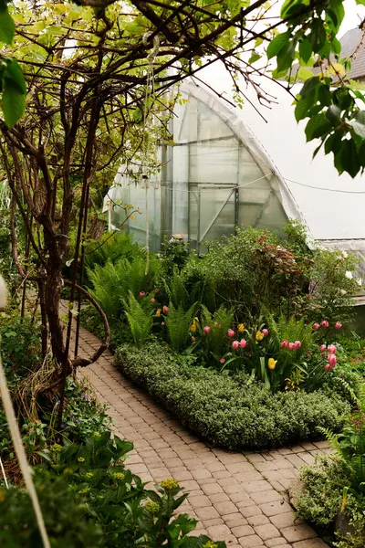 Vibrant green plants flourish in a serene greenhouse environment brimming with life. — Stock Photo